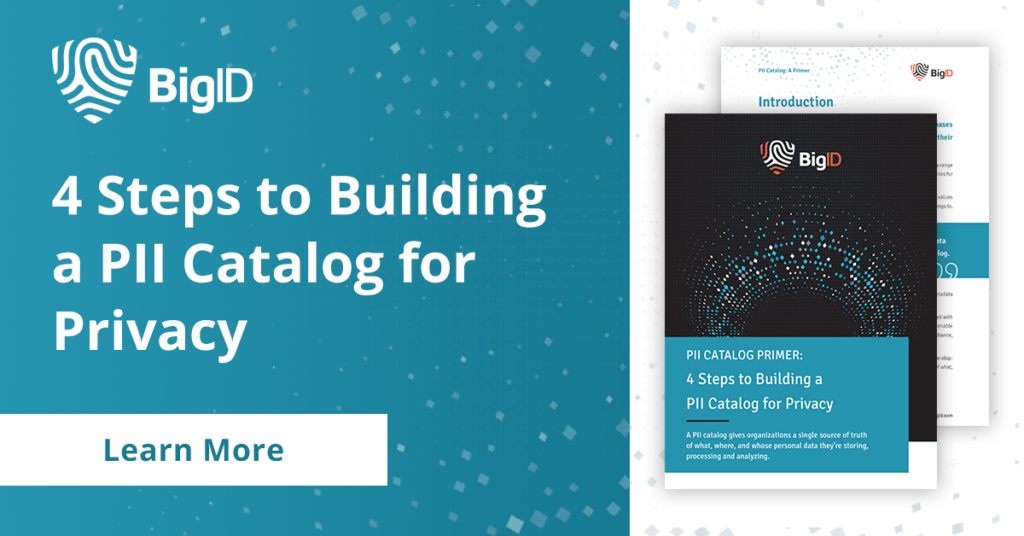4 Steps to Building a PII Catalog for Privacy - whitepaper
