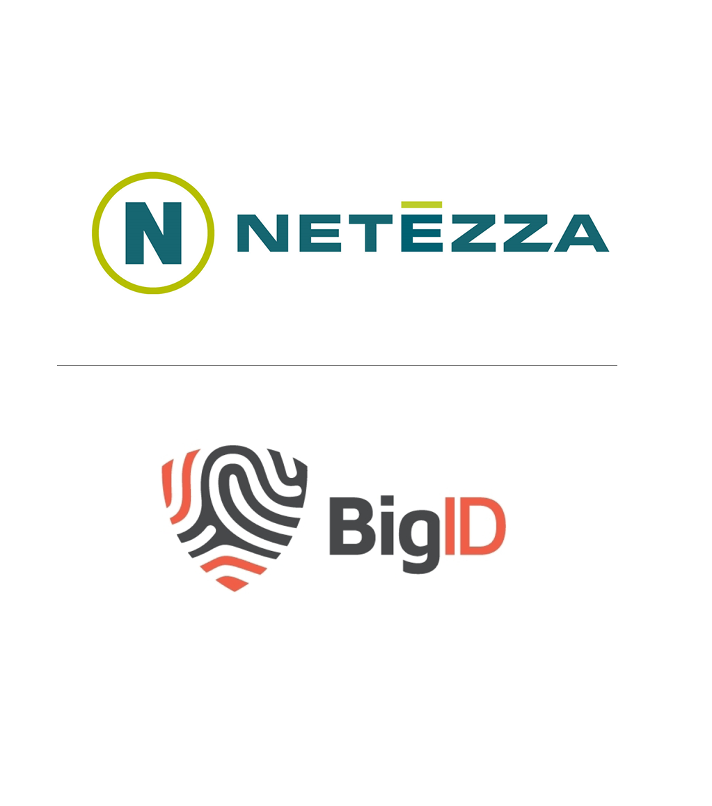 netezza logo