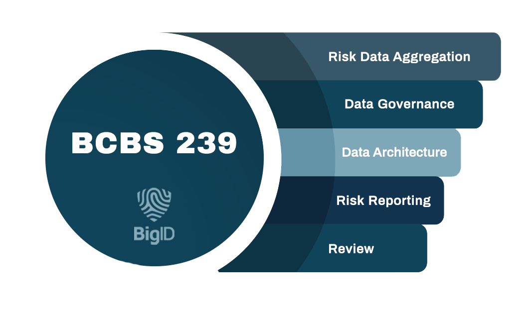 BCBS 239 Compliance BigID