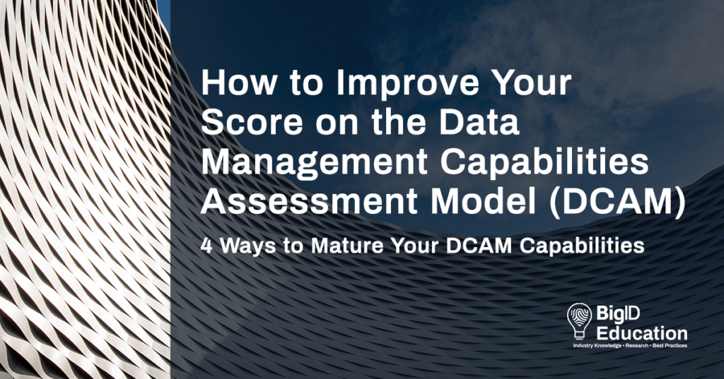 4 Ways to Mature Your DCAM Capabilities with BigID | BigID