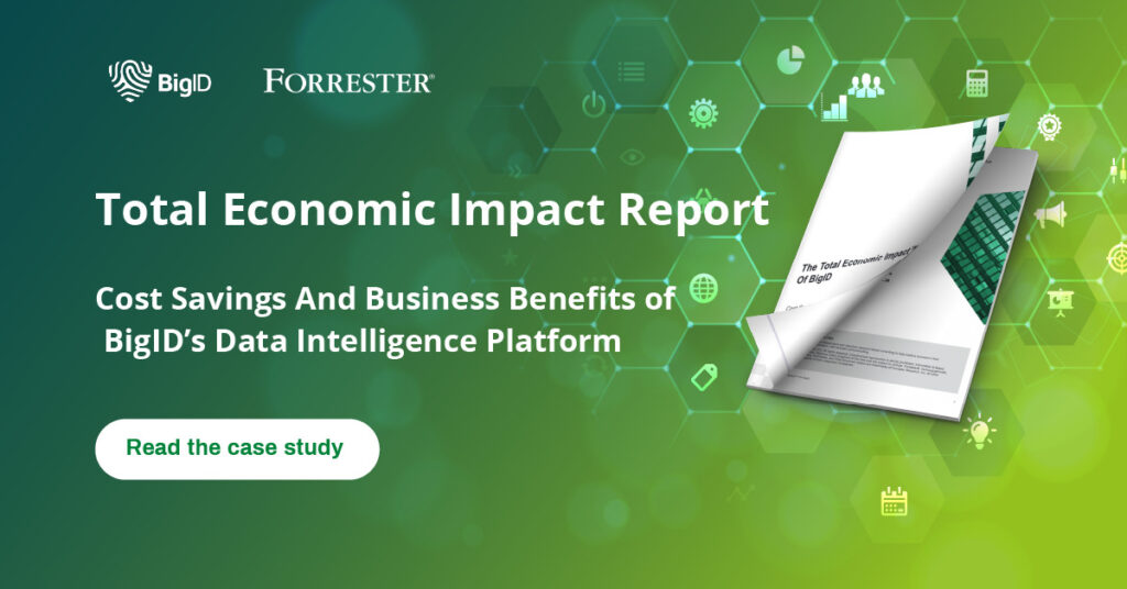 Modern Data Stack - BigID Total Economic Impact Report
