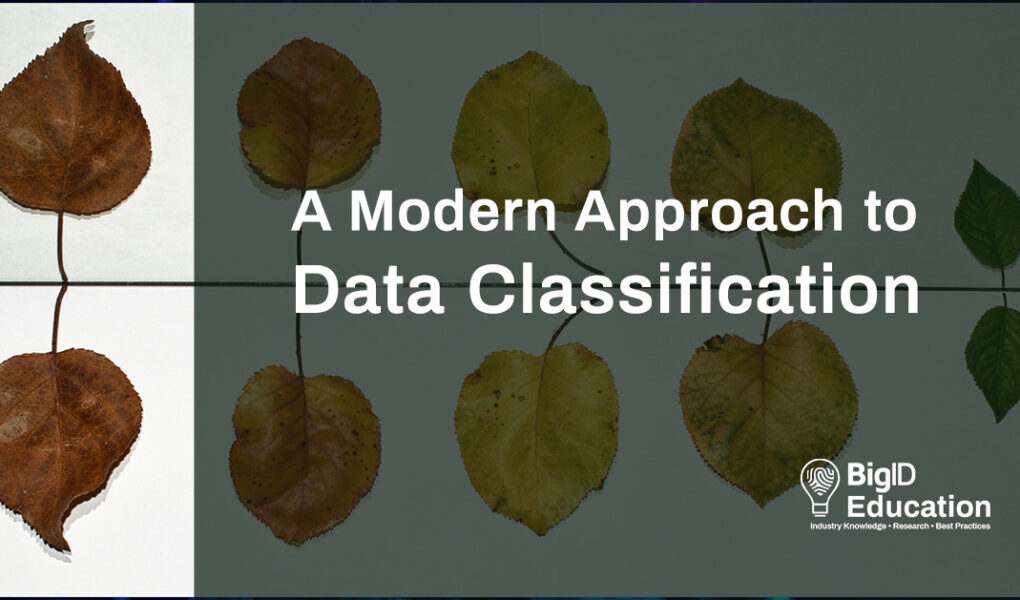 Why It S Time For Customizable Ml Driven Data Classification Bigid Why It S Time For Customizable Ml Driven Data Classification Bigid