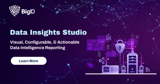 BigID Data Insights Studio | BigID