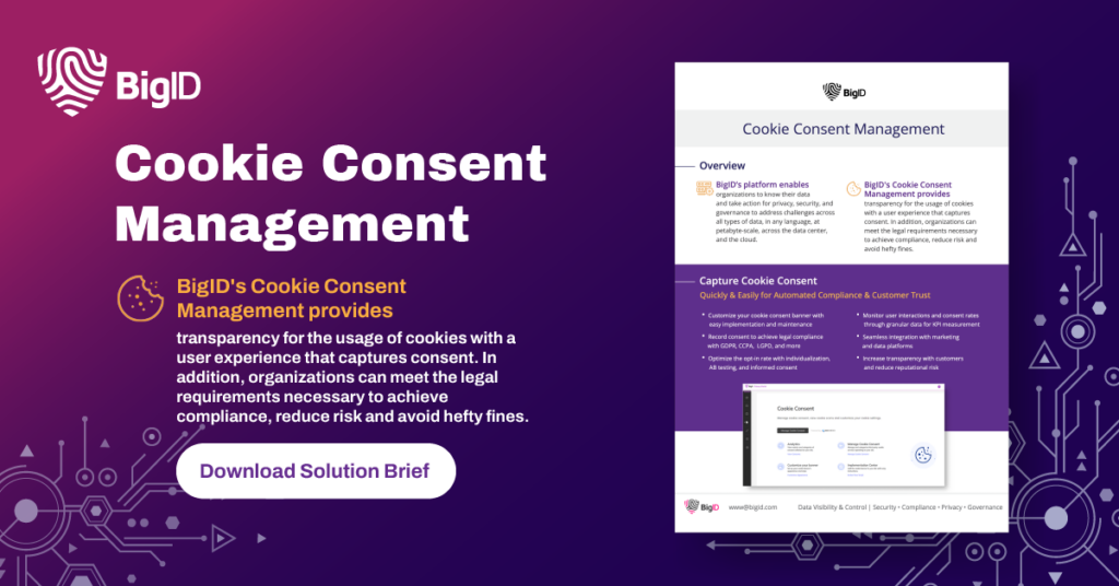 Download Our Cookie Consent Management Solution Brief. 