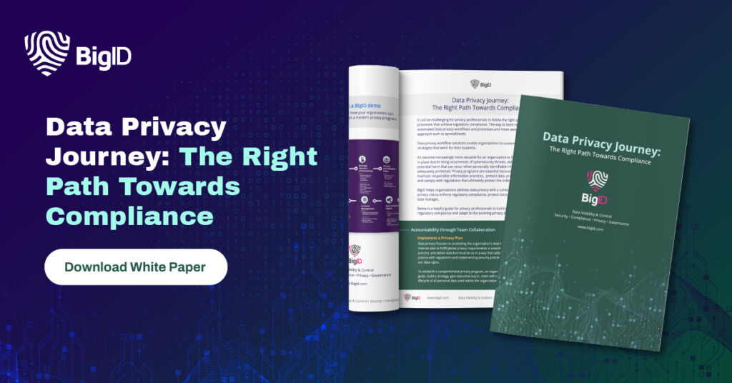 Data Privacy Compliance Journey - BigID whitepaper