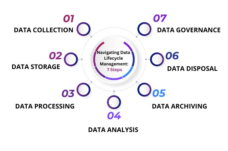 Navigating Data Lifecycle Management: 7 Steps - Infographic