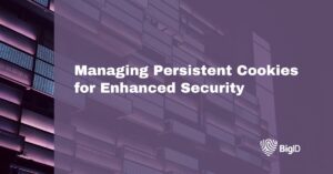 Managing Persistent Cookies for Enhanced Security | BigID