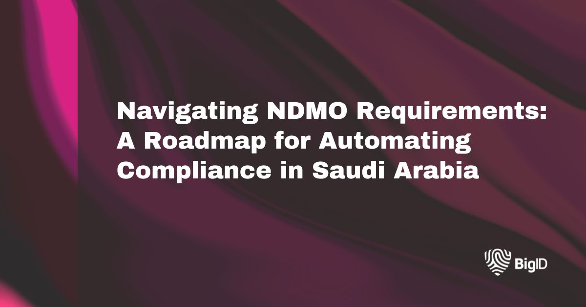 Navigating NDMO Requirements | BigID