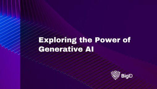 Streamlining Data Remediation Best Practices Guide Bigid