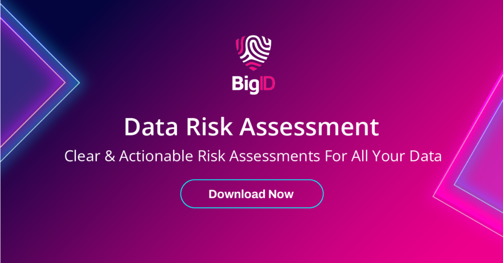 Data Risk Assessment 