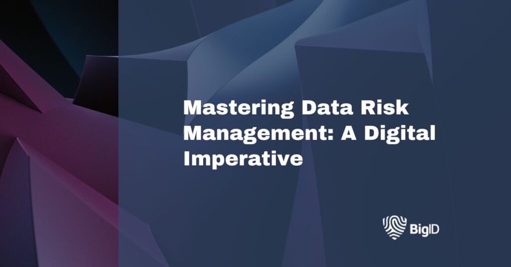 Mastering Data Risk Management: A Digital Imperative | BigID