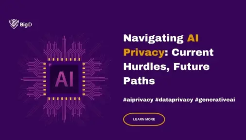 navigating AI and data privacy issues