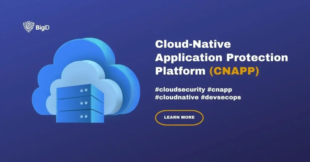 Image of cloud and computer processor illustrating CNAPP (Cloud-Native application protection platform) by BigID