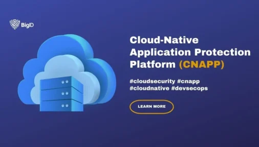 Image of cloud and computer processor illustrating CNAPP (Cloud-Native application protection platform) by BigID