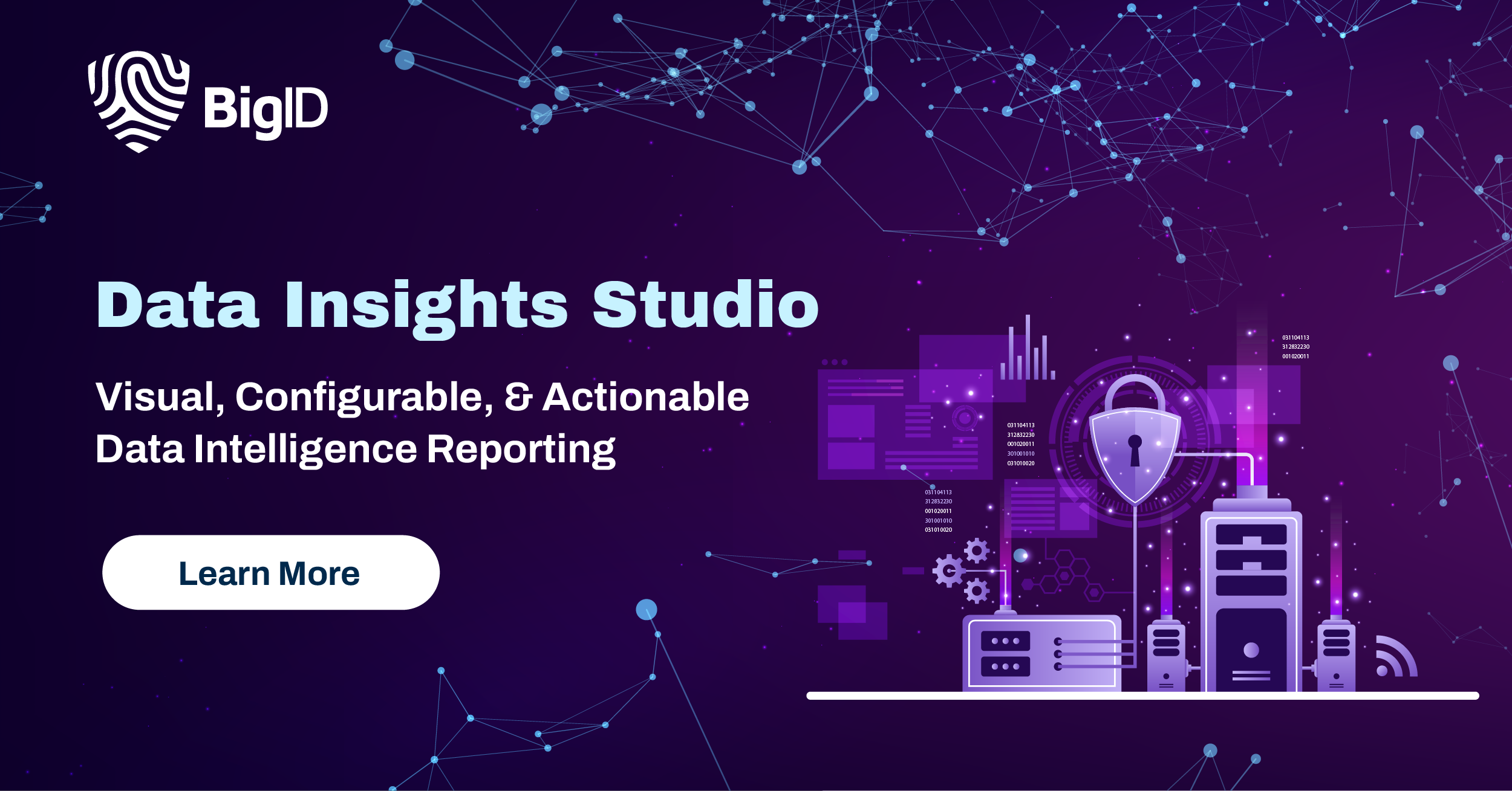 BigID Data Insights Studio Visual, Configurable, & Actionable Data