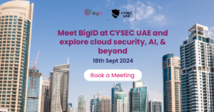 CYSEC UAE | BigID