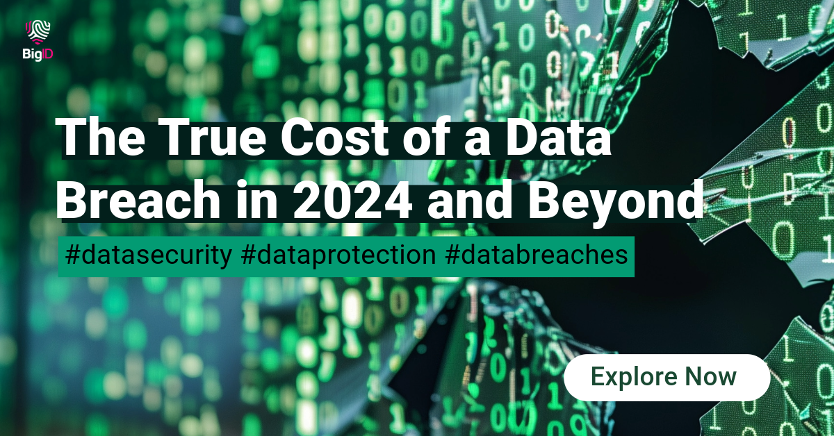 The True Cost of a Data Breach in 2024 and Beyond BigID