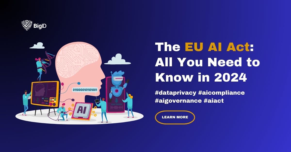 The EU AI Act: All You Need to Know in 2024 | BigID