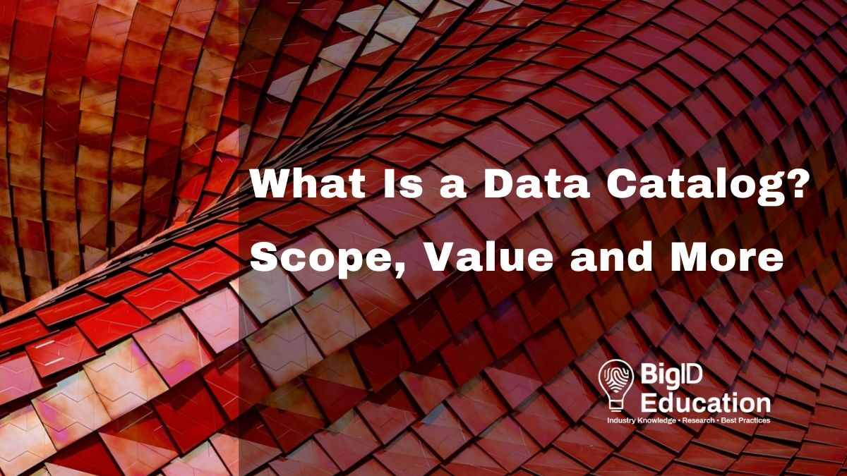 What Is a Data Catalog? Scope, Value, and More BigID
