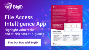 What Is File Security? Essential Guide | BigID