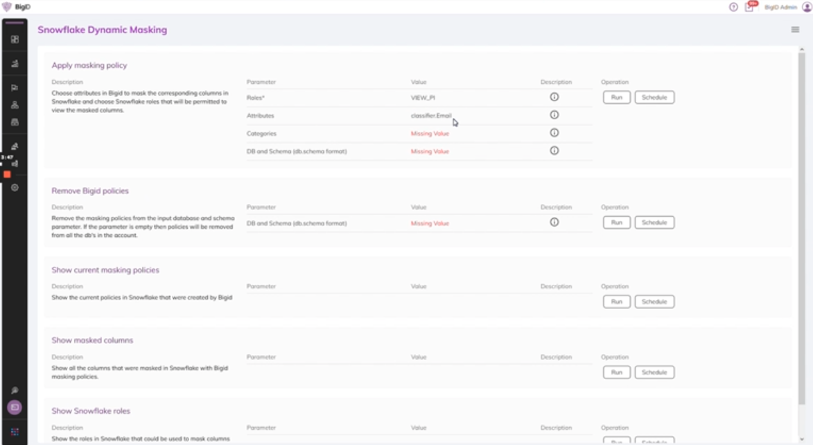 Native Data Access and Masking Control for Snowflake | BigID
